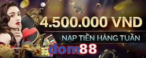 dom88