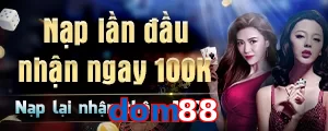 dom88
