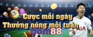 dom88
